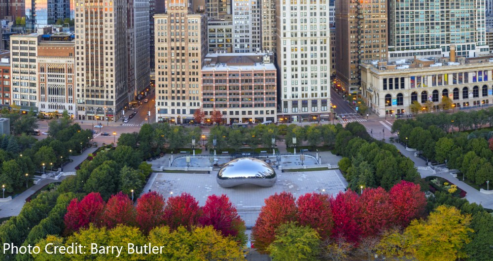 Chicago Bean ©BARRY BUTLER